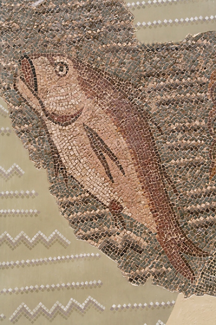Musée du Bardo-034